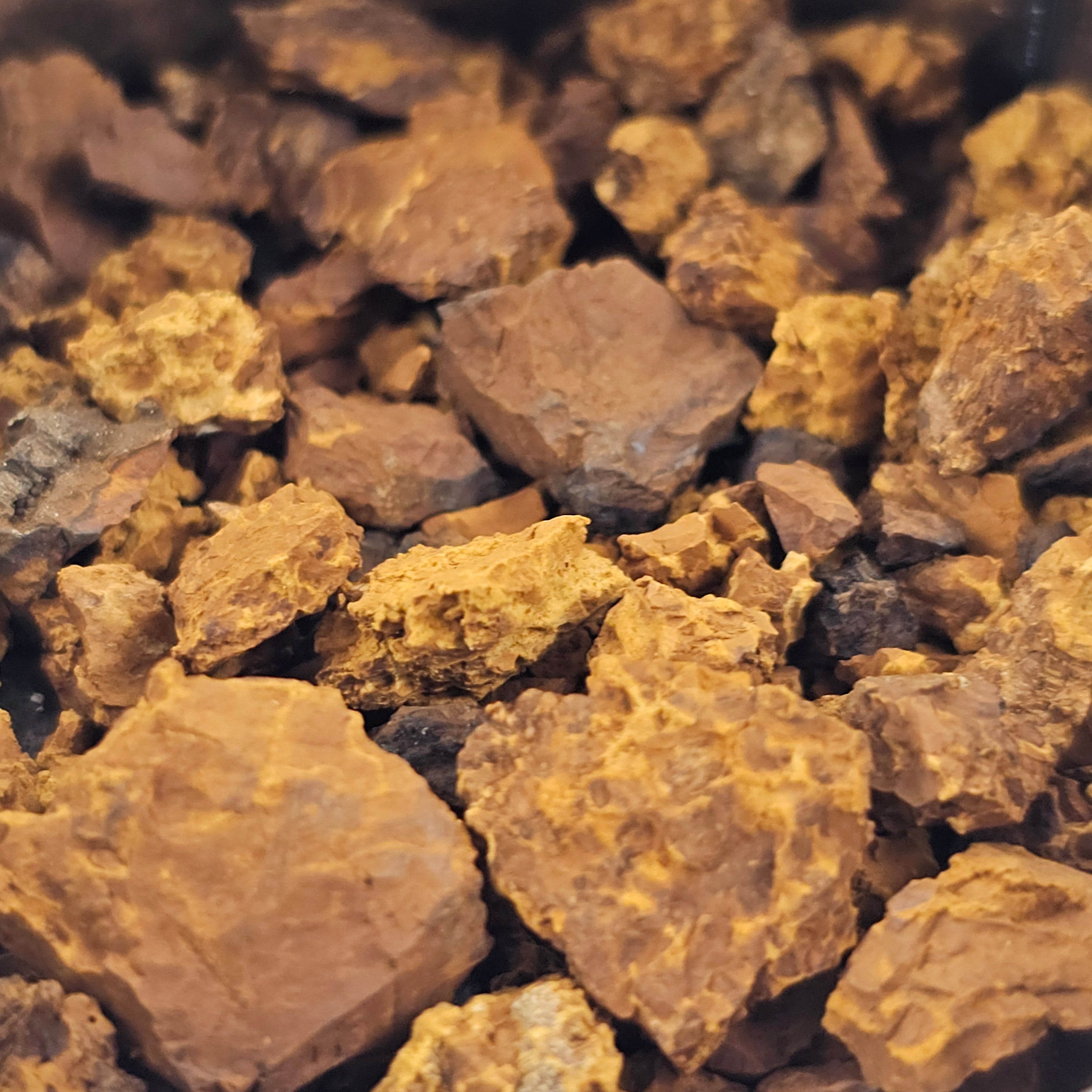Melnā bērza sēņu (Chaga) organiskās granulas. Papildinājums