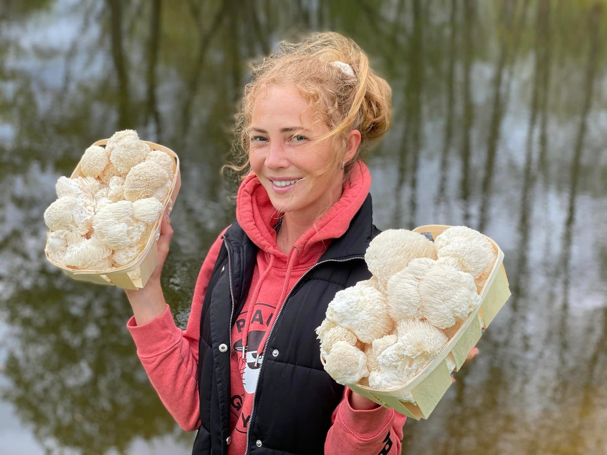 Organiskās Lion's mane kapsulas (uztura bagātinātājs)