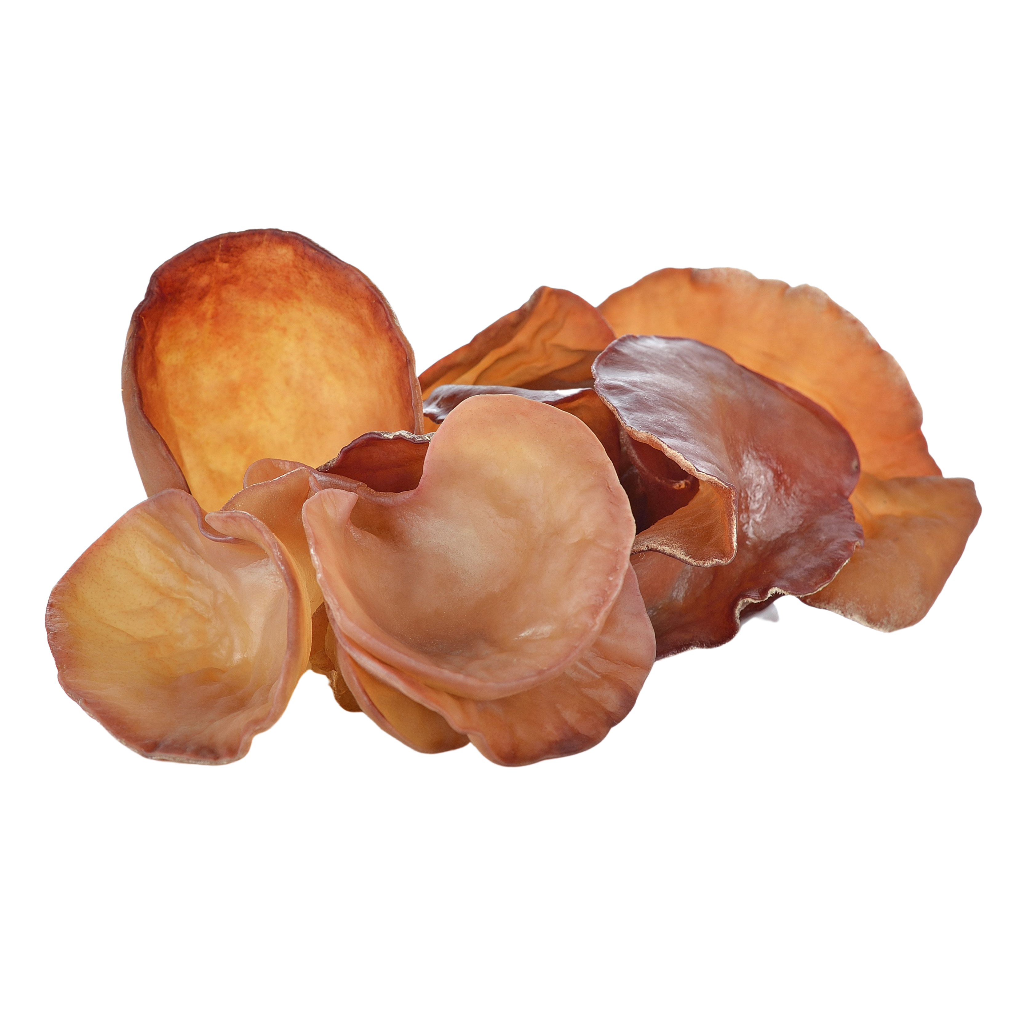 Organiskā Auricularia auricula – kaltētu sēņu pulveris
