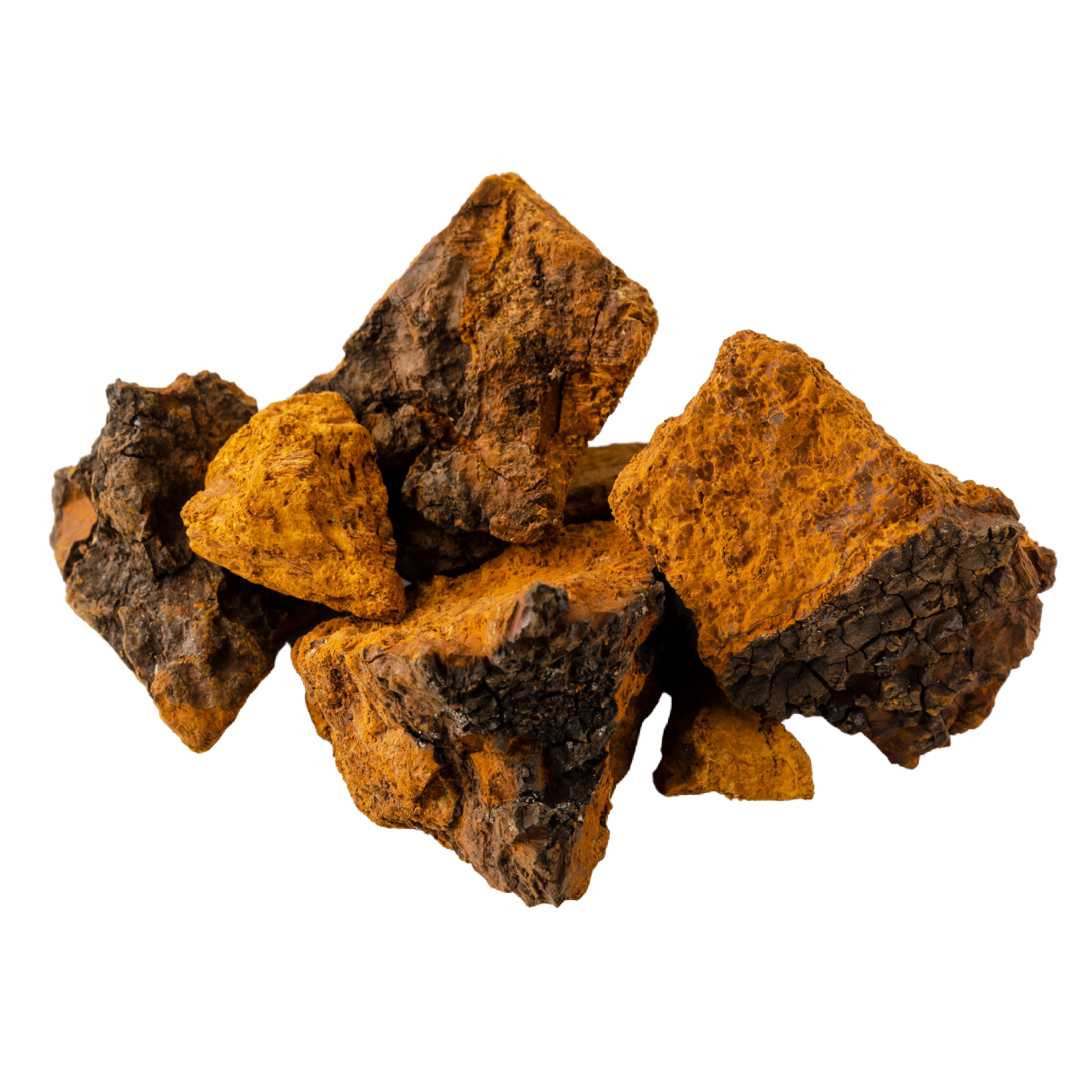 Organiskās Čaga (melnās bērzu piepes) pulveris. Uztura bagātinātājs