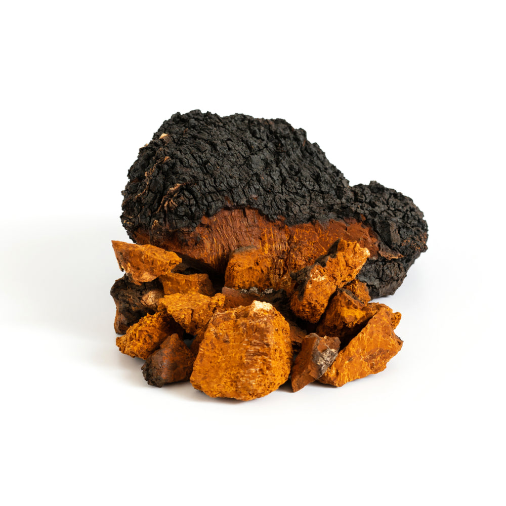 Organiskās Čaga (melnās bērzu piepes) pulveris. Uztura bagātinātājs