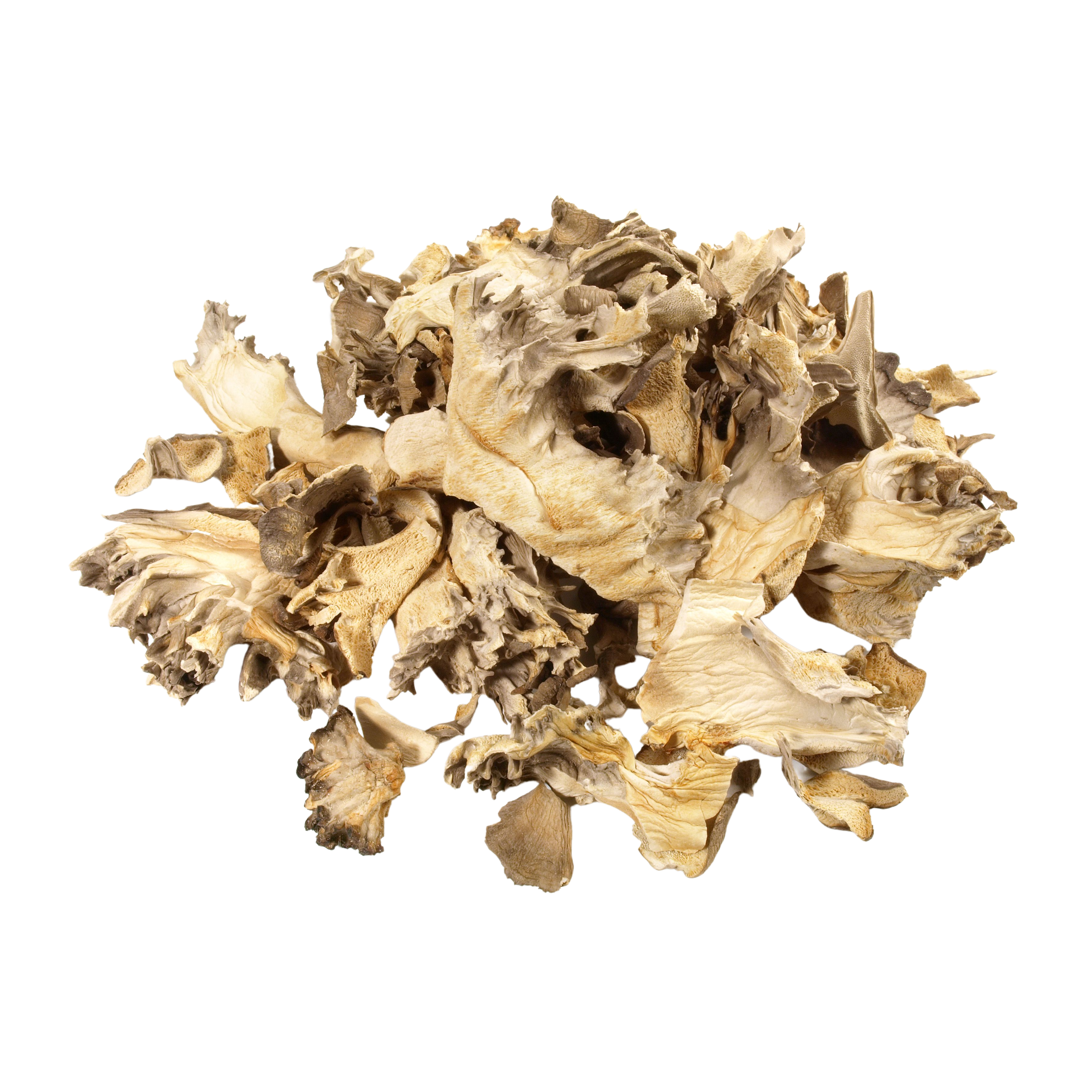 Ekoloģiskā Maitake (Grifola frondosa) – kaltētu sēņu pulveris