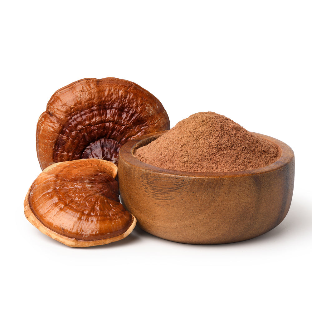 Organic Reishi (ganoderma) − kaltētu sēņu pulveris