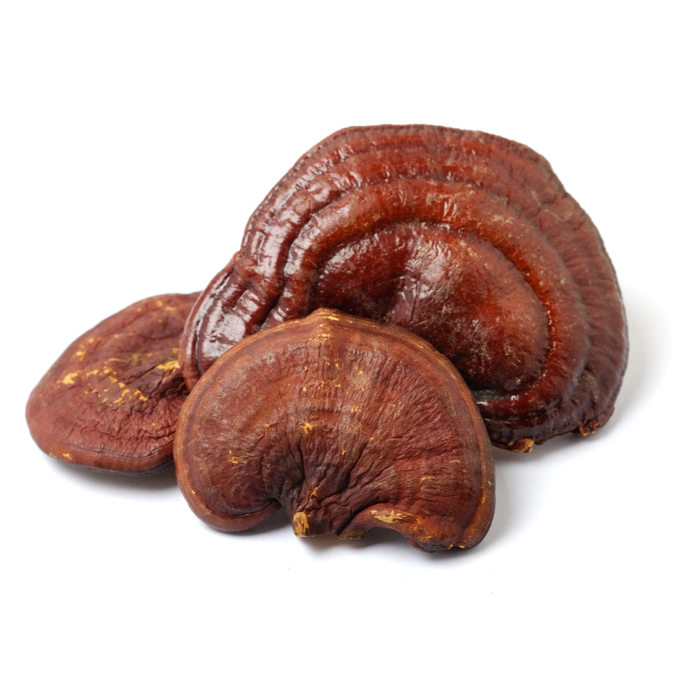 Organic Reishi (ganoderma) − kaltētu sēņu pulveris