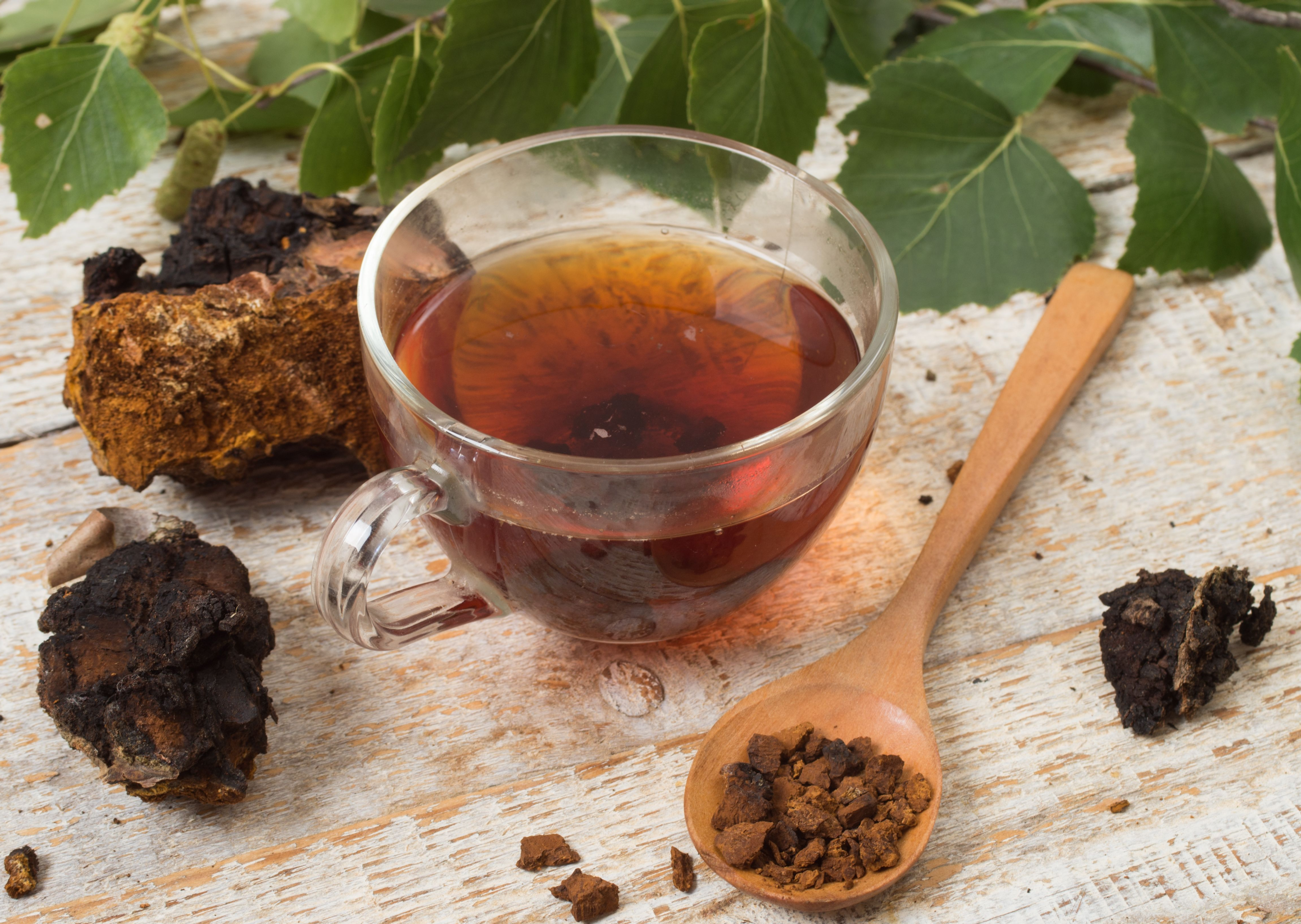 Melnā bērza sēņu (Chaga) organiskās granulas. Papildinājums