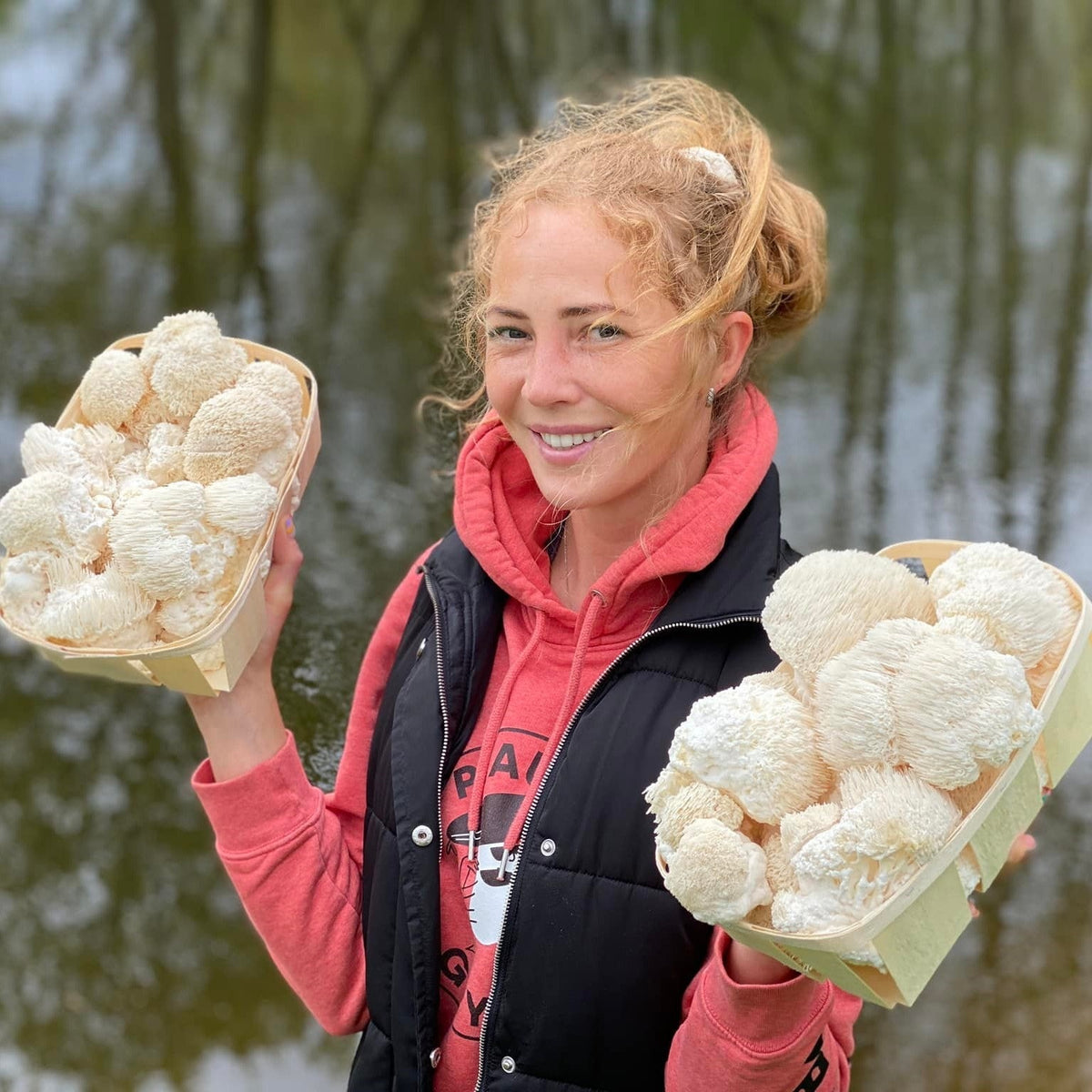 Organiskā Lion's Mane – kaltētu sēņu pulveris