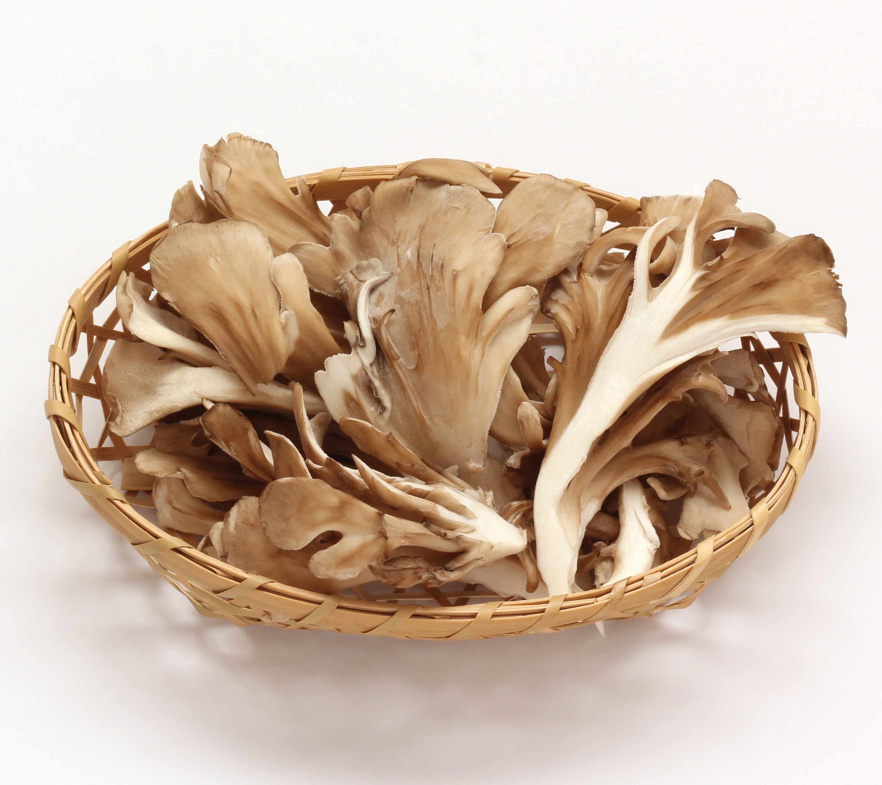 Ekoloģiskā Maitake (Grifola frondosa) – kaltētu sēņu pulveris