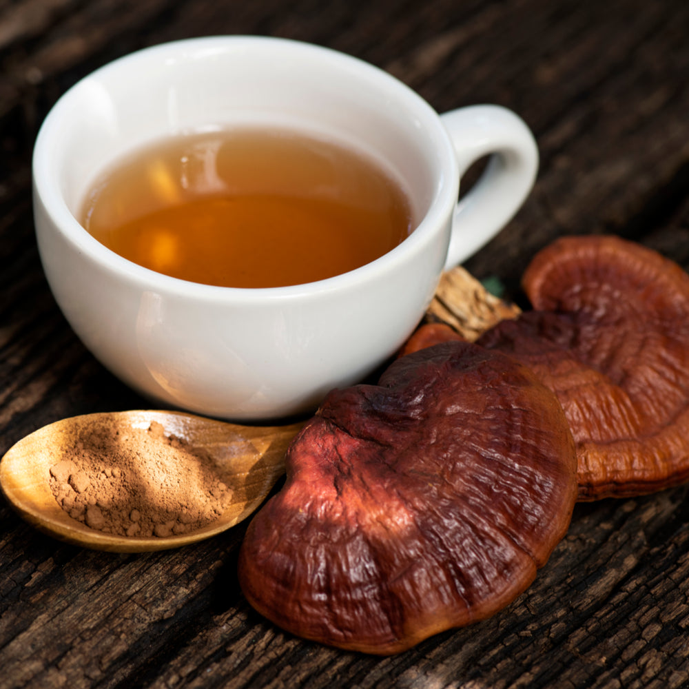 Organic Reishi (ganoderma) − kaltētu sēņu pulveris
