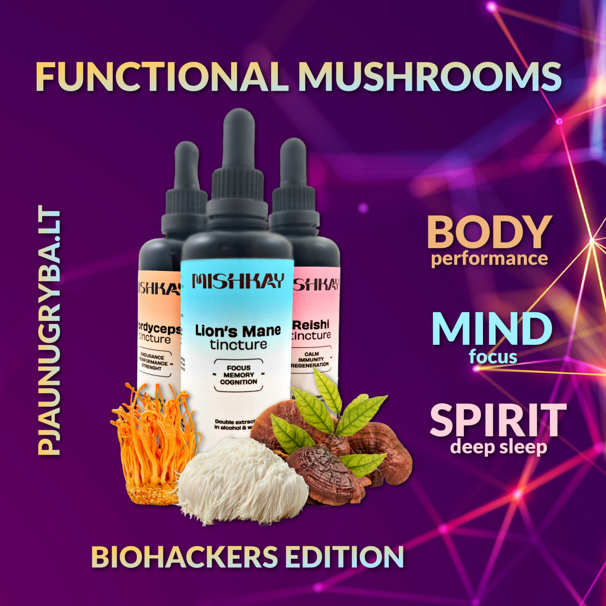 Biohakerio rinkinys (Maisto papildas). Cordyceps + Lion's mane + Reishi