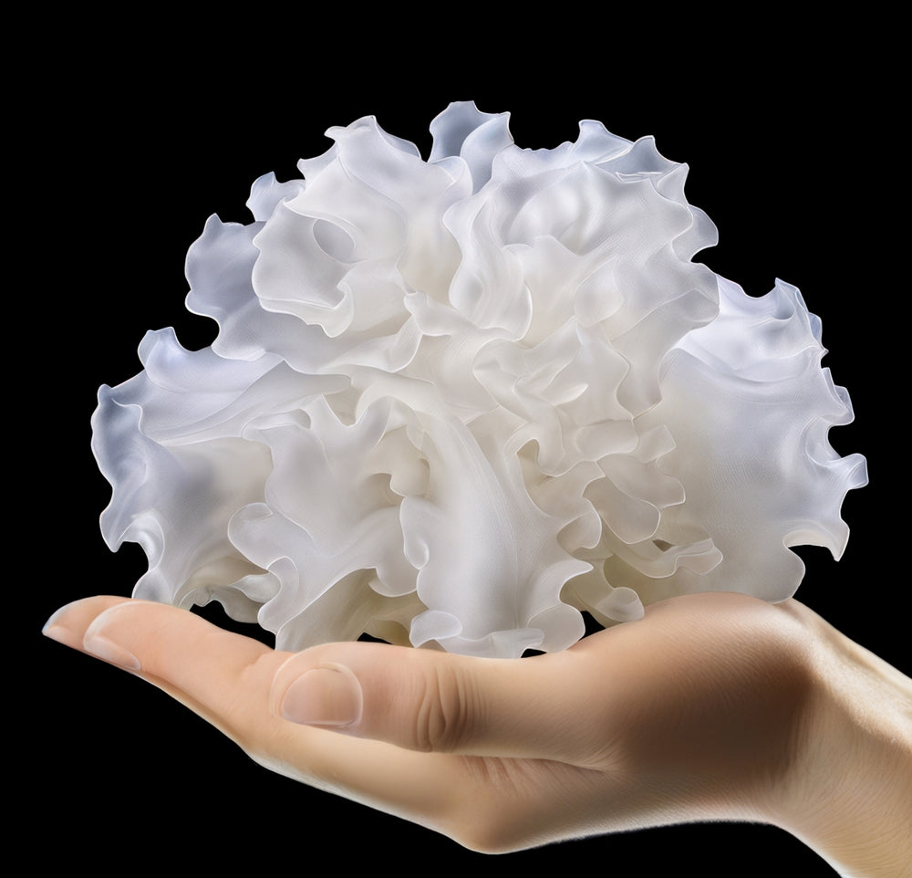 tremella rokā